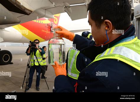 A Chinese Ground Crew Member Refuels A Jet Plane Boeing 787 Dreamliners