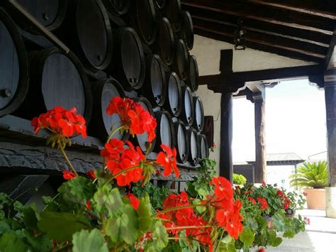 El Convento de Torrejón de Velasco