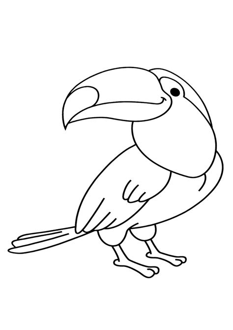 100% free bird coloring pages. Toucan Coloring Pages to download and print for free