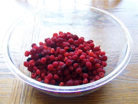 Remember that app i was telling you about? Wineberry Pie and a New Dinner Recipe | New recipes for ...