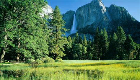 Free Download Green Yosemite National Park Muntain Wallpapers Hd