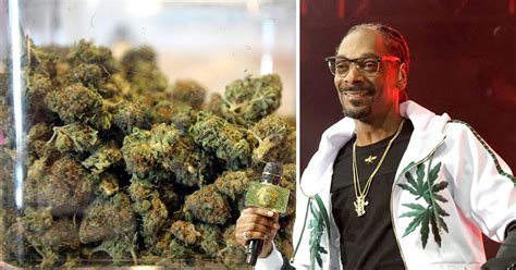 Snoop Dogg Invests 10 Million In British Weed Company Metro News