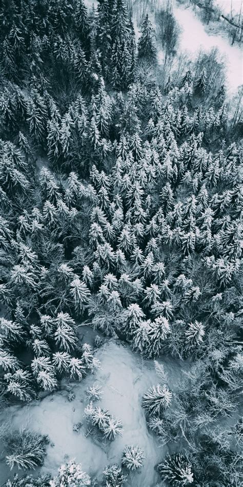 #snow #winter #snowy #forest #trees #pine trees #lake #icy lake #ice #photography #phone photography #photographers on tumblr #wallpaper #desktop #iphone #lithuania #begginner #cold #hiking #snowy scene. Aerial view, winter, pine trees, frost, 1080x2160 ...