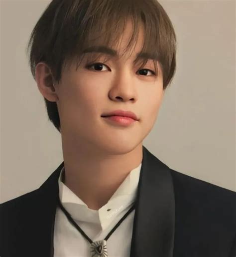 Profil Dan Biodata Chenle Nct Dream Sultan Asal China Yang Berkarir