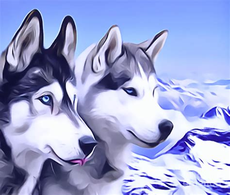 2 Siberian Huskies Drawing By Sun Leil Fine Art America