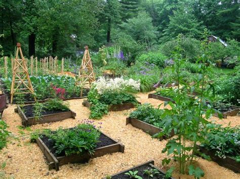 15 Raised Garden Bed Ideas Hgtv Raised Garden