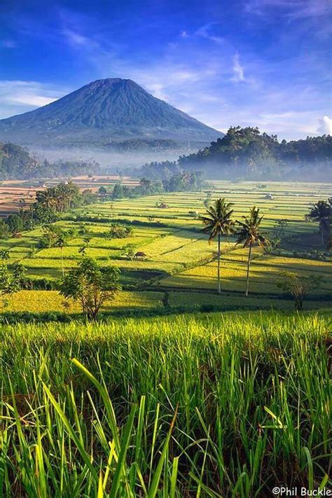 Gambar pemandangan gunung dan bunga sakura. Bali, Gunung Agung in the background || in Indonesia | Pemandangan, Fotografi alam, Foto alam