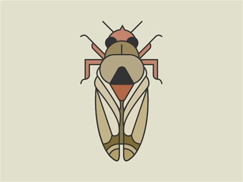 Geometric Cicada Illustration Insect Art Cicada Art Art Inspiration