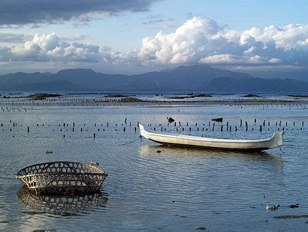 Maybe you would like to learn more about one of these? Champs d'algues : Bateaux : Transport : Nusa Lembongan ...