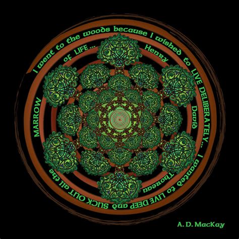 Celtic Tree Of Life Mandala Digital Art By Celtic Artist Angela Dawn
