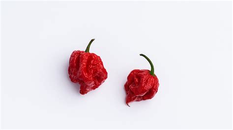 At 3,180,000 shus, pepper x is the hottest pepper in the world. Watch These Two Girls Try Eating the Carolina Reaper, the ...