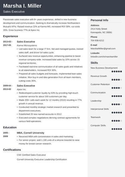 Best Executive Resume Template 20 C Level Examples AE4