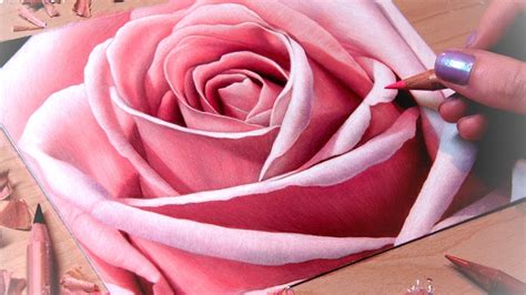 In this how to, i will be guiding you step by step in the process of drawing a beautiful red rose. Drawing a Rose Close-Up - YouTube