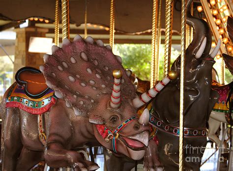 Going Around On A Rhino Photograph By Didi Higginbotham Fine Art America