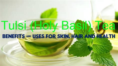 Tulsi Holy Basil Tea Benefits And Uses For Skin Hair And Health