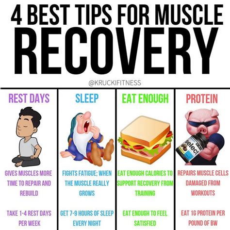 Best Tips For Muscle Recovery By Kruckifitness Recovery Is