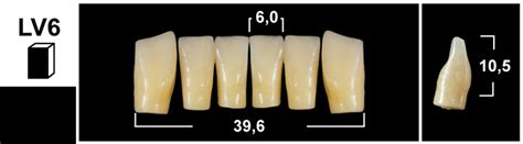 Tribos 501 Dientes De Acrílico Descubre Las Ventajas