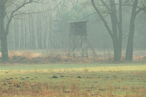 Hunting Pulpits At The Edge Of The Forest On A Foggy Morning Stock