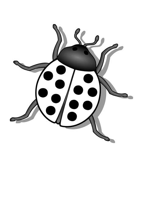 Bugs Png Black And White Transparent Bugs Black And W