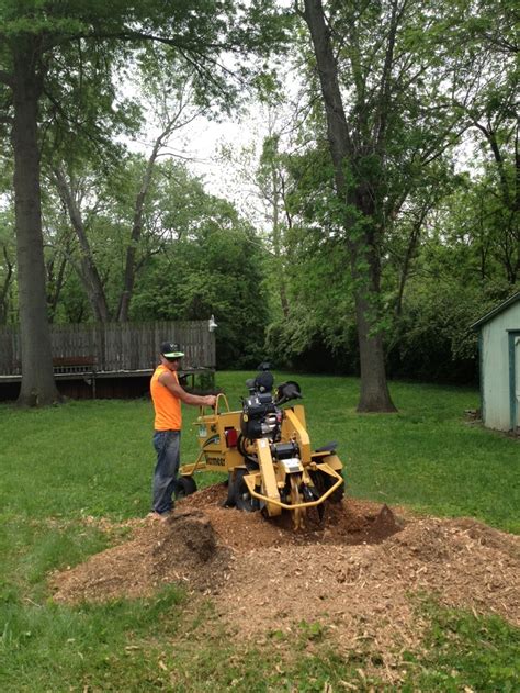 We did not find results for: Stump grinding | Garden tools, Stumped, Wheelbarrow