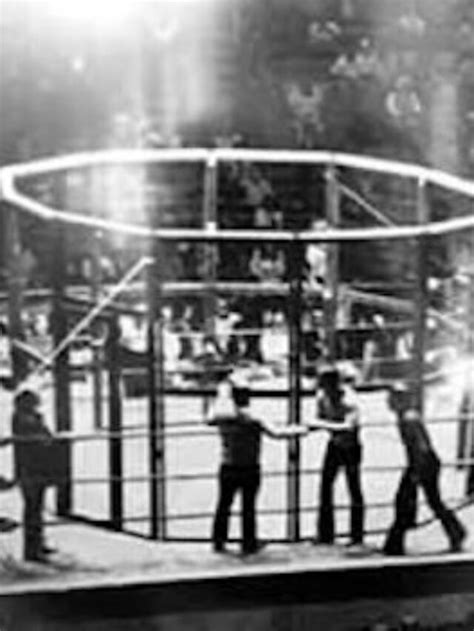 Most Memorable Steel Cages In Wrestling History Pro Wrestling Stories