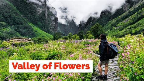 Valley Of Flowers Uttarakhand Trek Valley Of Flowers And Hemkund