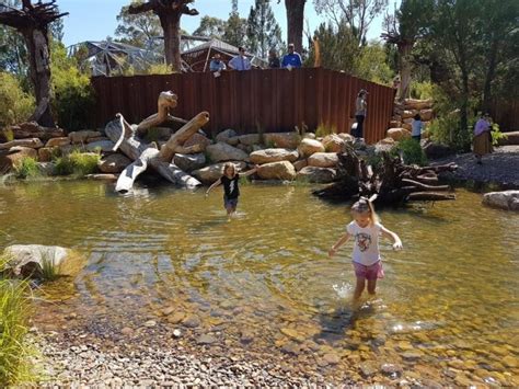 Rio Tinto Naturescape Kings Park Buggybuddys Guide For Families In Perth