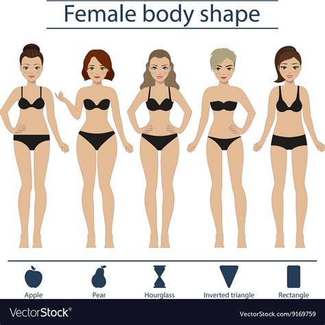 Woman Body Types Set Of Body Shape Types Vector Image
