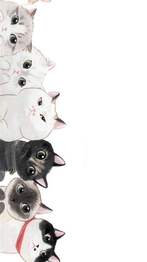 Cute Korean Cat Wallpapers Top Free Cute Korean Cat Backgrounds