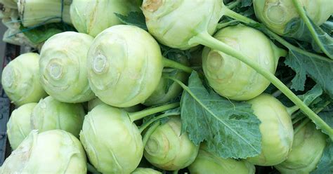 11 Of The Best Kohlrabi Varieties Gardeners Path