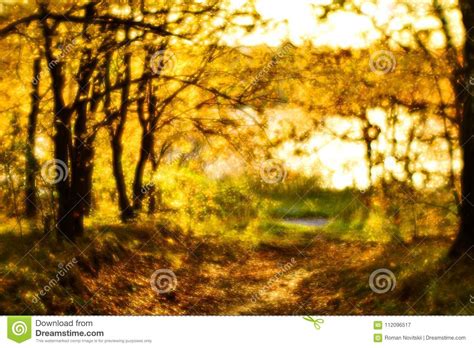 Blurred Autumn Landscape Backlit With Trees Fallen Yellow Leaves And