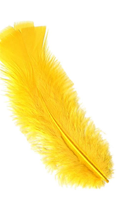 Choosing One Feather Reveals Your Personality