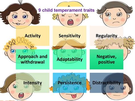 Childs Temperament Online Presentation