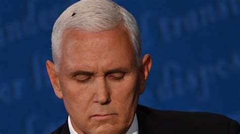Mike Pence Addresses Fly On His Head During Vice Presidential Debate