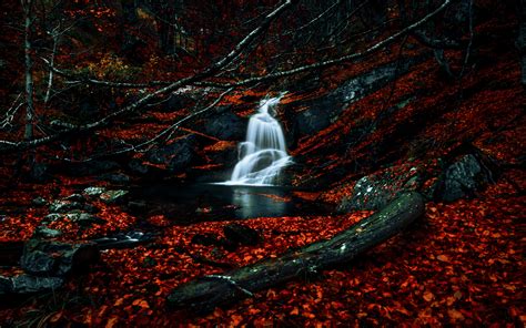 Orange And Black Wallpaper Dark Waterfalls Forest Woods Leaves
