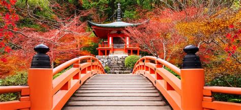 Japan Invites You To An Amazing Holidays