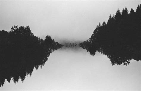 Wallpaper Trees Forest Nature Minimalism Reflection Sky Winter