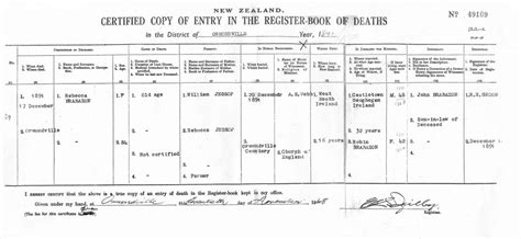 Rebecca Brabazon Death Certificate 1891 Hawkes Bay Knowledge Bank