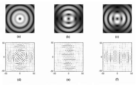 Theoretical Simulation Of A Te Polarized Vector Vortex With Topological