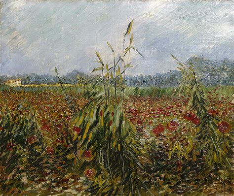 Corn Fields And Poppies 1888 Painting By Vincent Van Gogh Fine Art