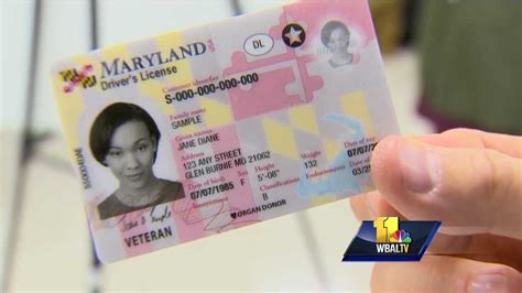 Feltondesignstudio Maryland Drivers License Status