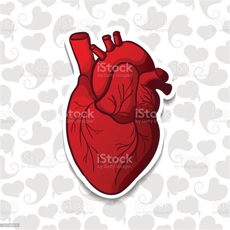 Drawing The Human Heart On Background Pattern Of Cartoon