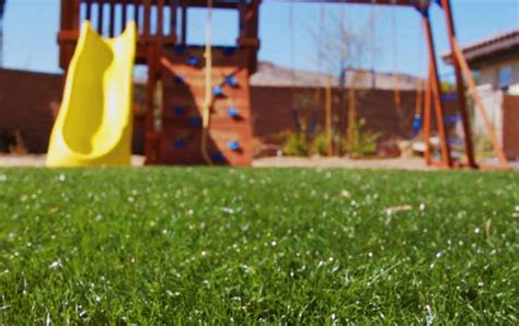 Artificial Grass In Colorado Putting Greens And Pet Turf Synlawn Co