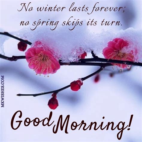Best Winter Morning Wishes | Good Morning Winter Images - MK Wishes