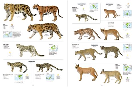 Review All The Mammals Of The World Mammal Watching