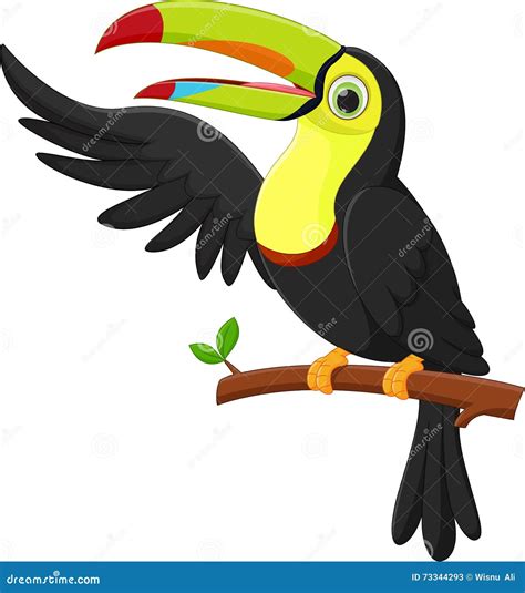 Cute Toucan Bird Cartoon Waving Stock Vector Illustration Of Bird