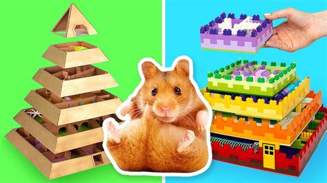 Cool Diy Mazes For Your Hamster Youtube