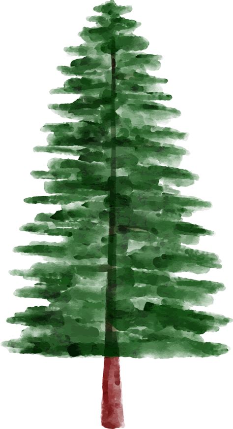 Watercolor Pine Tree Clip Art Png
