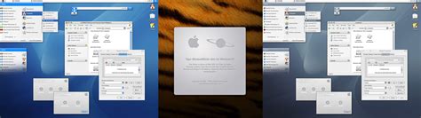 Windowblinds Tiger Free Download