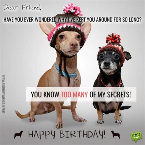 The coolest collection with funny birthday wishes for friends. Funny Birthday Wishes for your Family & Friends